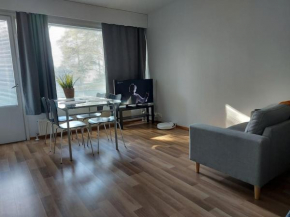 Viihtyisä yksiö keskustan lähettyvillä in Oulu